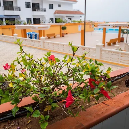 Daire Seguro Spacious With Roomy Terrace Puerto de Santiago (Tenerife)